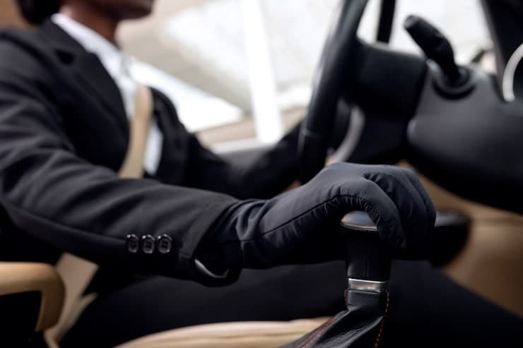 Chauffeur at Disposal